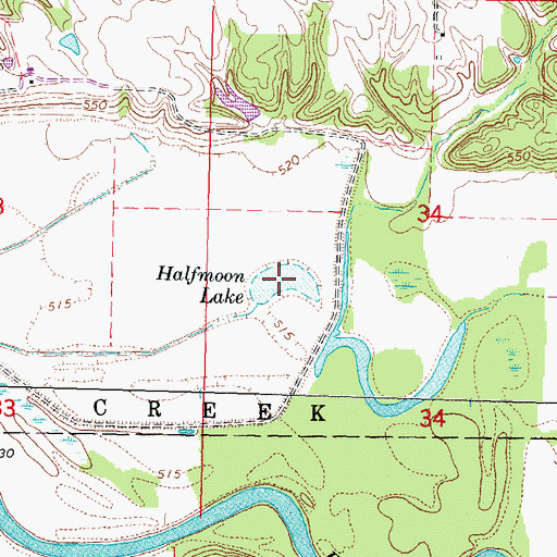 Topographic Map of Halfmoon Lake, IL