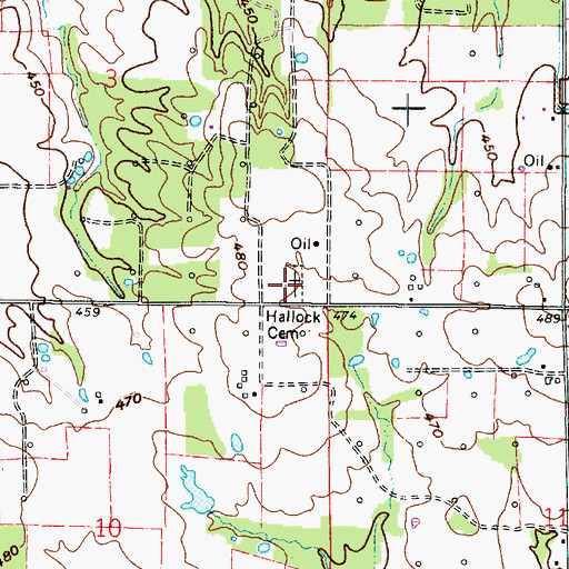 Topographic Map of Hallock Cemetery, IL