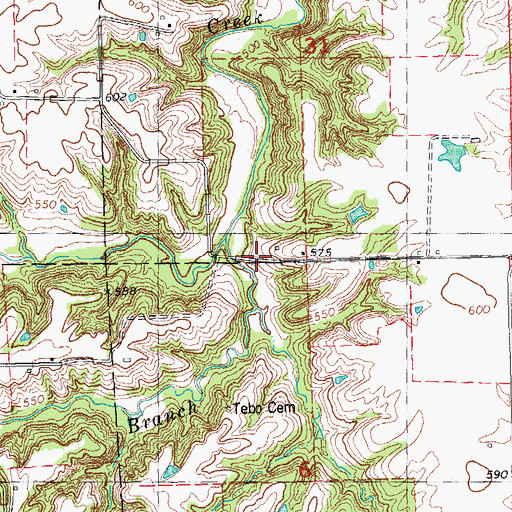 Topographic Map of Hamilton Branch, IL
