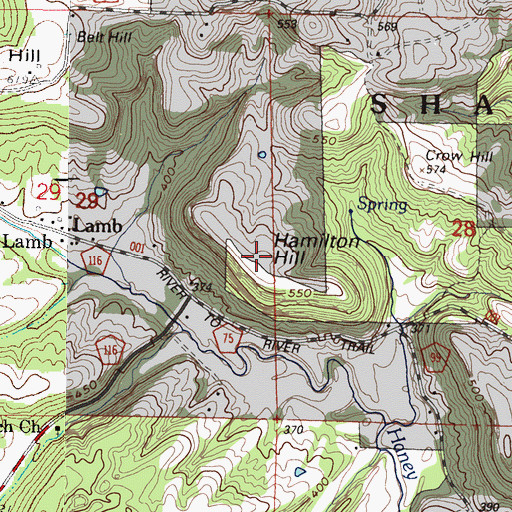 Topographic Map of Hamilton Hill, IL