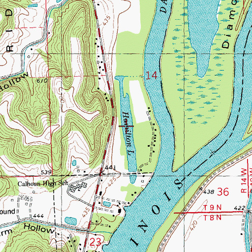 Topographic Map of Hamilton Lake, IL