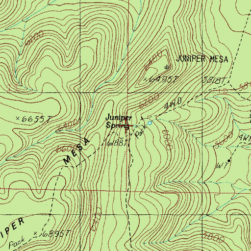 Topographic Map of Juniper Spring, AZ