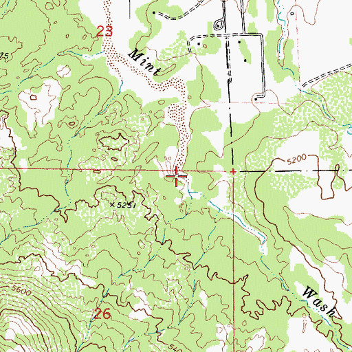 Topographic Map of Mint Wash Waters, AZ