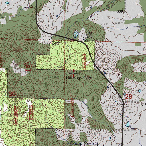 Topographic Map of Hastings Cemetery, IL