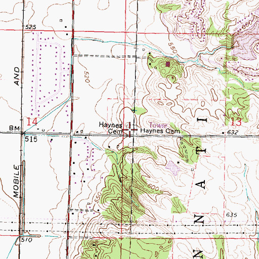 Topographic Map of Haines Cemetery, IL