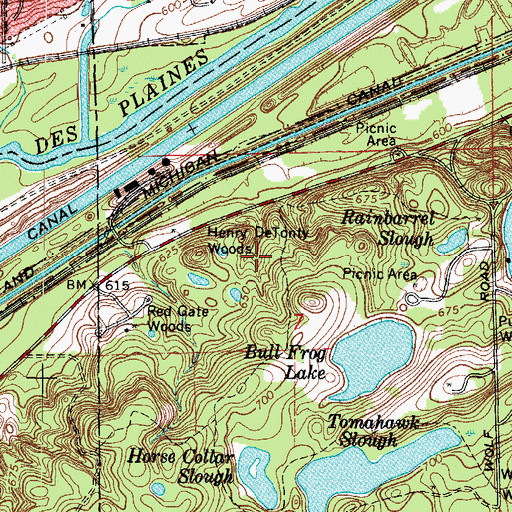 Topographic Map of Henry DeTonty Woods, IL