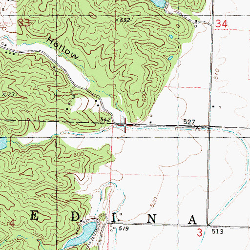 Topographic Map of Hicks Hollow, IL