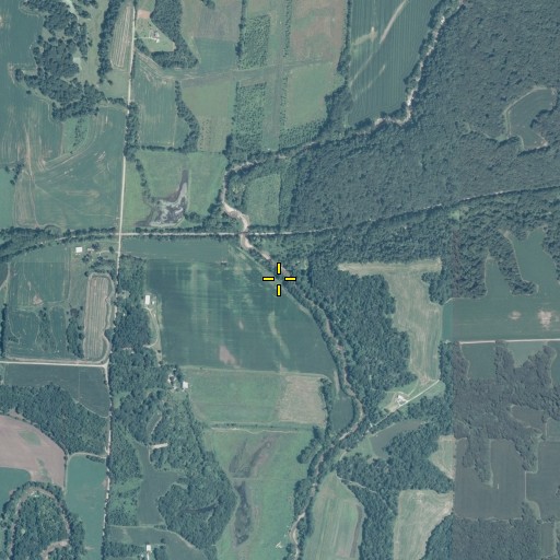 Aerial/Satellite Image of Hinkle Branch, IL
