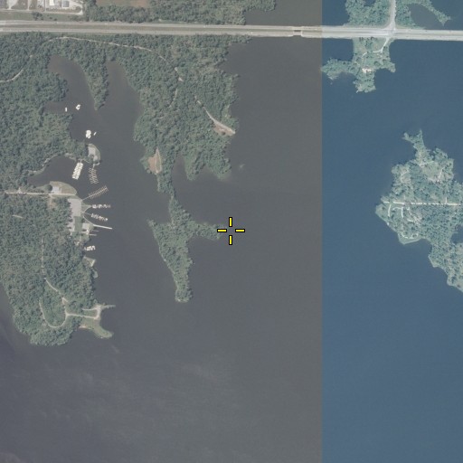 Aerial/Satellite Image of Hogan Point, IL