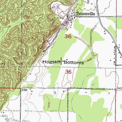 Topographic Map of Hogskin Bottoms, IL