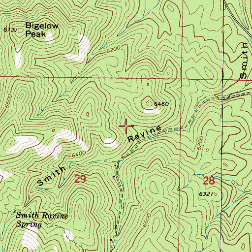 Topographic Map of Smith Spring, AZ