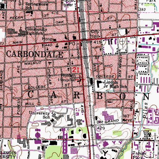 Topographic Map of Holden Hospital, IL