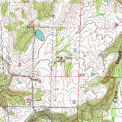 Topographic Map of Holt Cemetery, IL