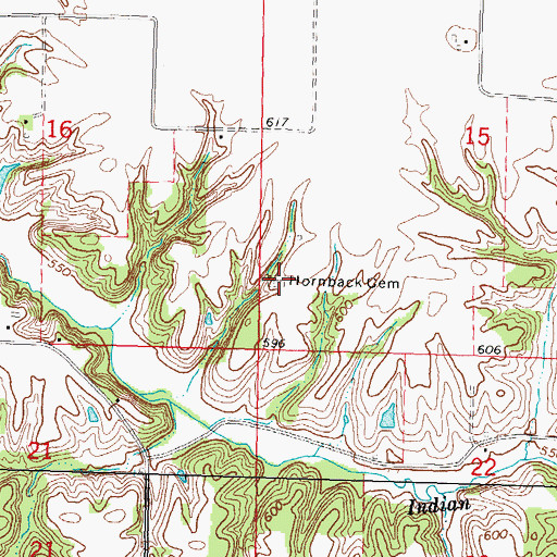 Topographic Map of Hornback Cemetery, IL