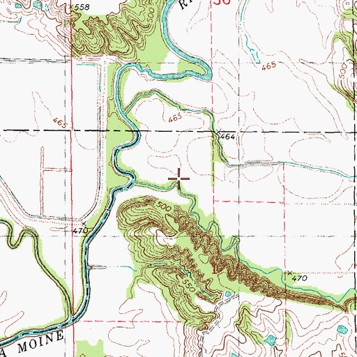 Topographic Map of Horney Branch, IL