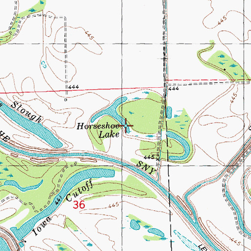 Topographic Map of Horseshoe Lake, IL
