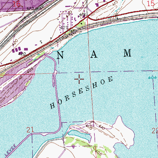 Topographic Map of Horseshoe Lake, IL