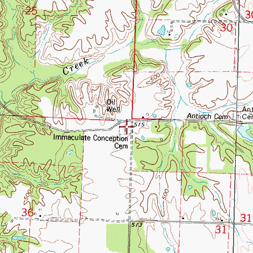 Topographic Map of Immaculate Conception Cemetery, IL