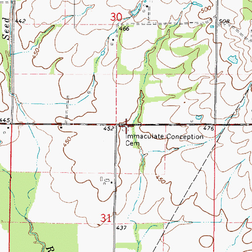 Topographic Map of Immaculate Conception Cemetery, IL