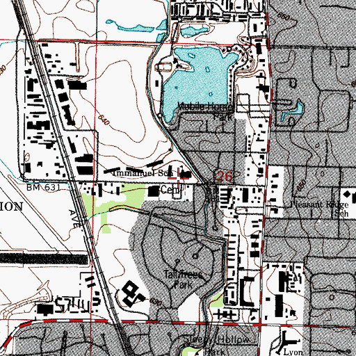 Topographic Map of Immanuel School, IL