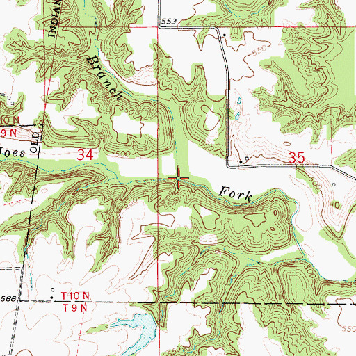 Topographic Map of Indian Branch, IL