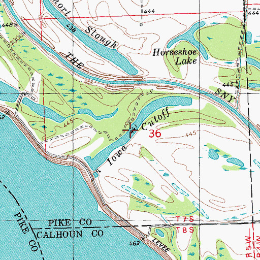 Topographic Map of Iowa Cutoff, IL