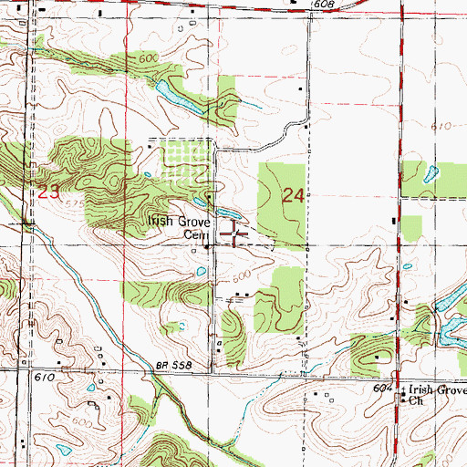 Topographic Map of Irish Grove Cemetery, IL