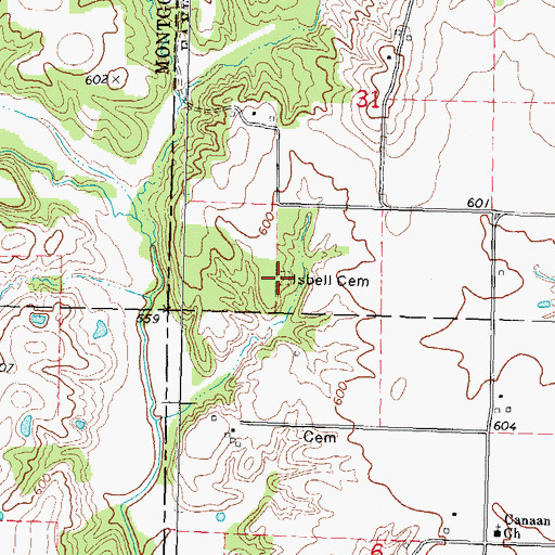 Topographic Map of Isbell Cemetery, IL