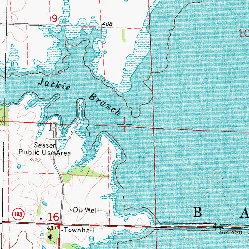 Topographic Map of Jackie Branch, IL