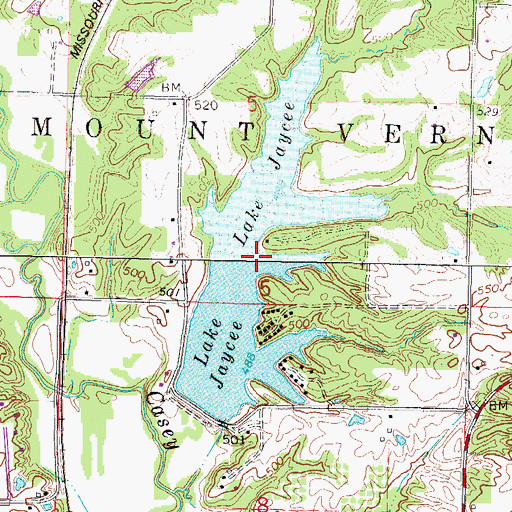 Topographic Map of Lake Jaycee, IL
