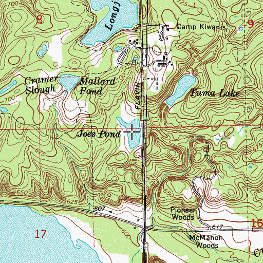 Topographic Map of Joes Pond, IL