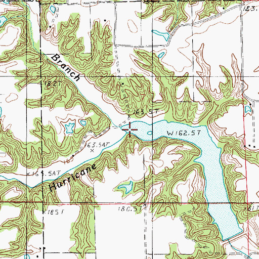 Topographic Map of Johnson Branch, IL
