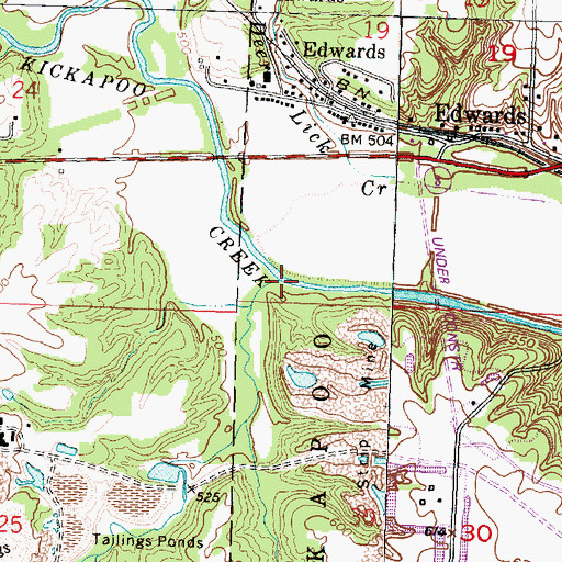 Topographic Map of Johnson Run, IL