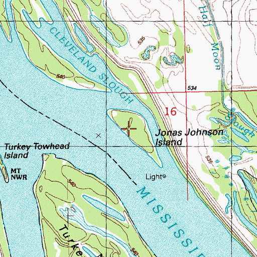 Topographic Map of Jonas Johnson Island, IL