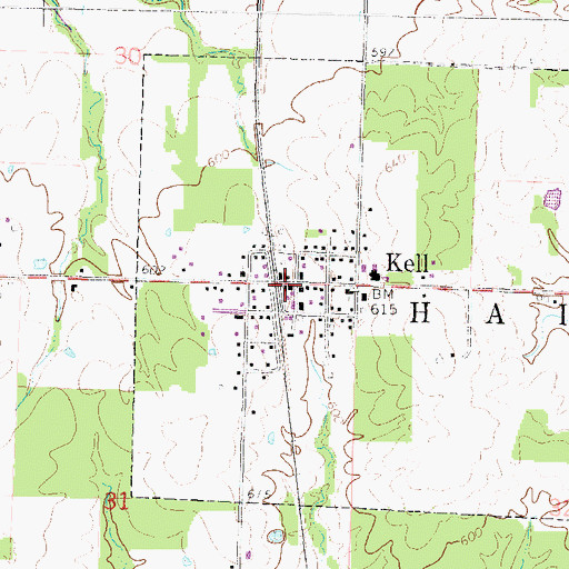 Topographic Map of Kell, IL