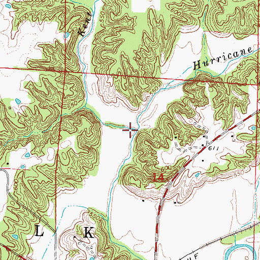 Topographic Map of Kent Branch, IL
