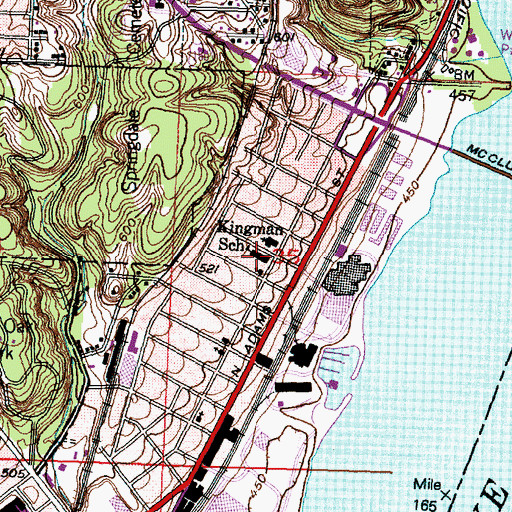 Topographic Map of Kingman Primary School, IL