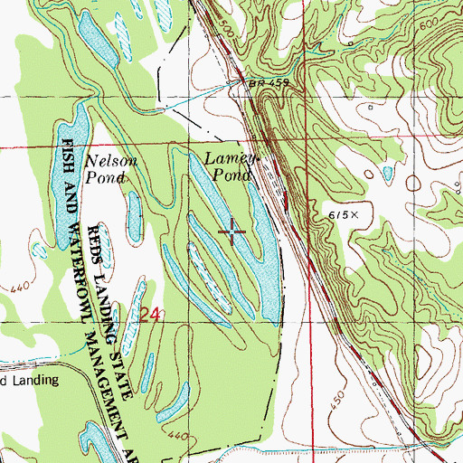 Topographic Map of Lamey Pond, IL