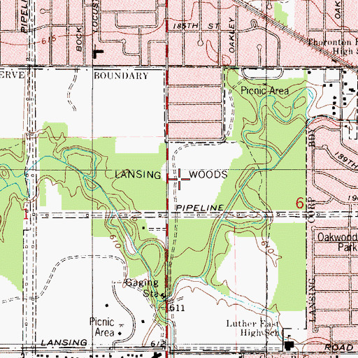 Topographic Map of Lansing Woods, IL
