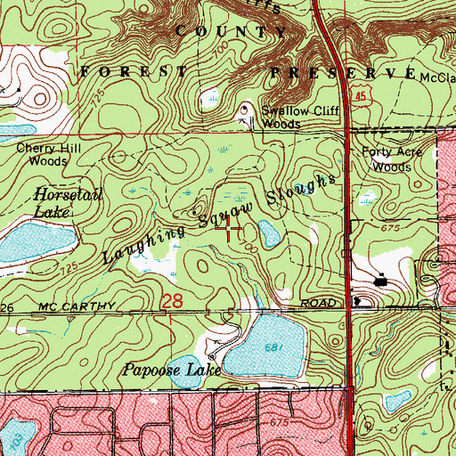 Topographic Map of Laughing Squaw Sloughs, IL