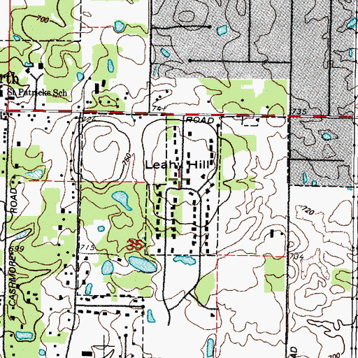 Topographic Map of Leahy Hill, IL