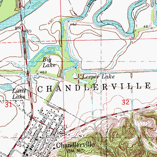Topographic Map of Leeper Lake, IL