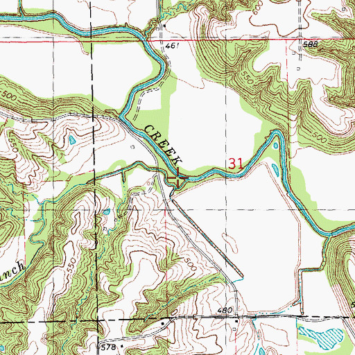 Topographic Map of Leineke Branch, IL