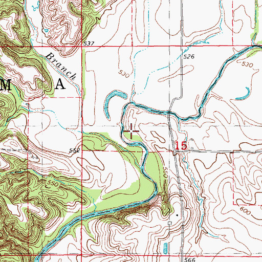 Topographic Map of Lick Branch, IL
