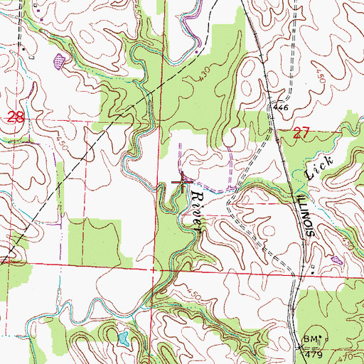 Topographic Map of Lick Branch, IL