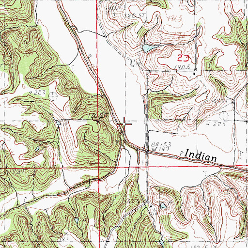 Topographic Map of Lick Branch, IL