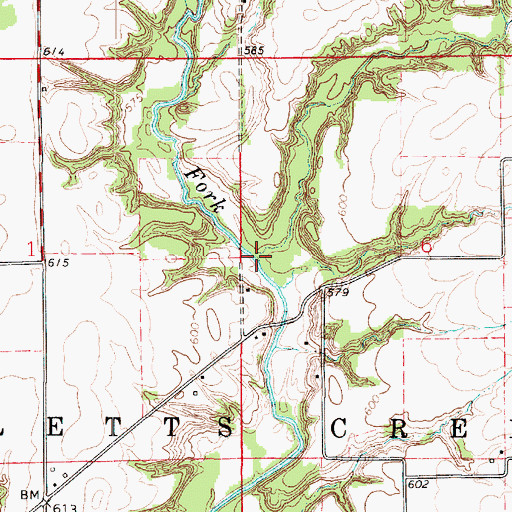 Topographic Map of Lick Run, IL