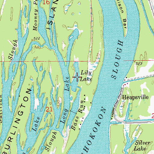 Topographic Map of Lily Lake, IL