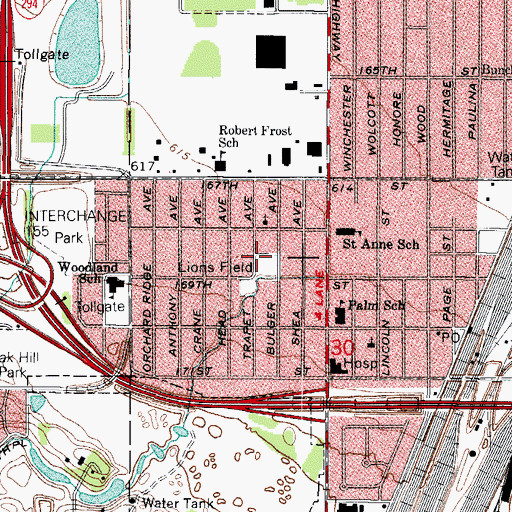 Topographic Map of Lions Field, IL