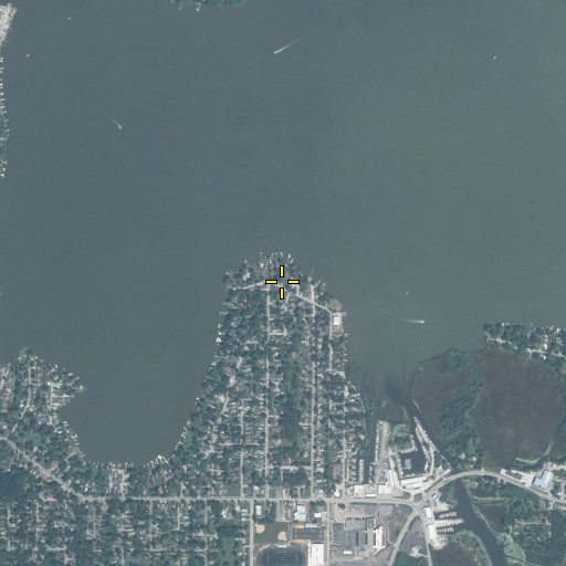Aerial/Satellite Image of Lippincott Point, IL